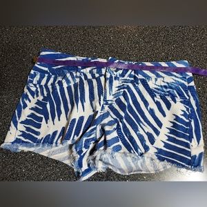 Express shorts